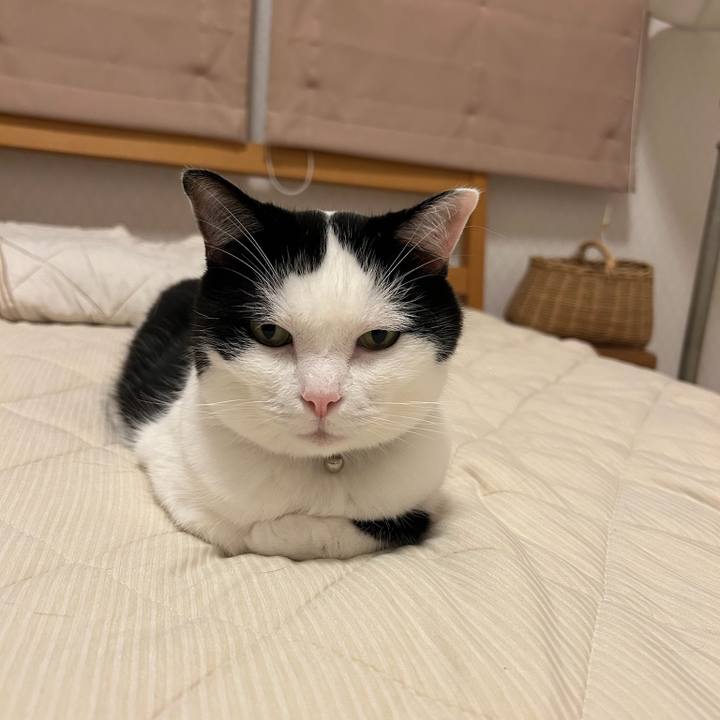 E5b52651 dc4f 430a 96e5 114c1a70eabf 1758150020120