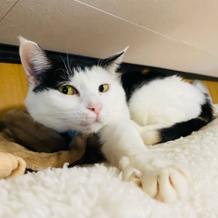 E5b55094 c278 40d0 a54b 56610af67da5 1672783095482