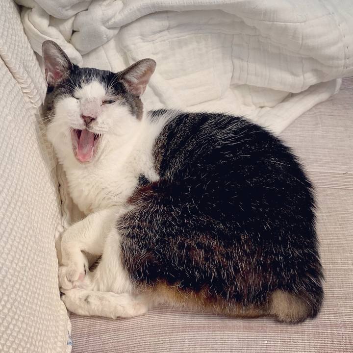 E5b555a6 3bde 4883 ac01 65cf9734ec9a 1607921918664