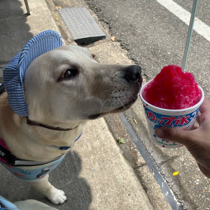 E5b58c8b 7ce1 4543 ab82 bfb15a7945f7 1627526255893