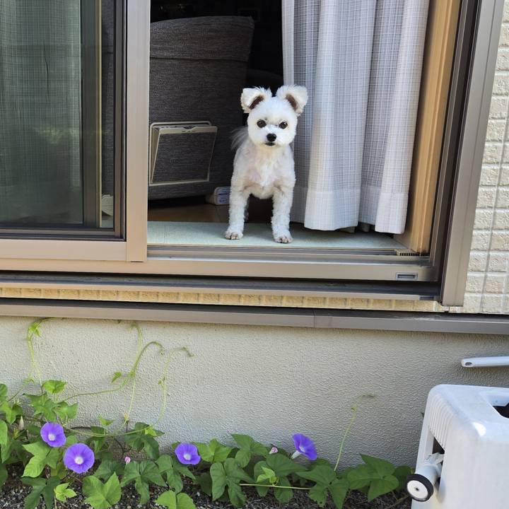 E5b5a2b1 7601 4c69 a362 f9124417fc04 1757913044355