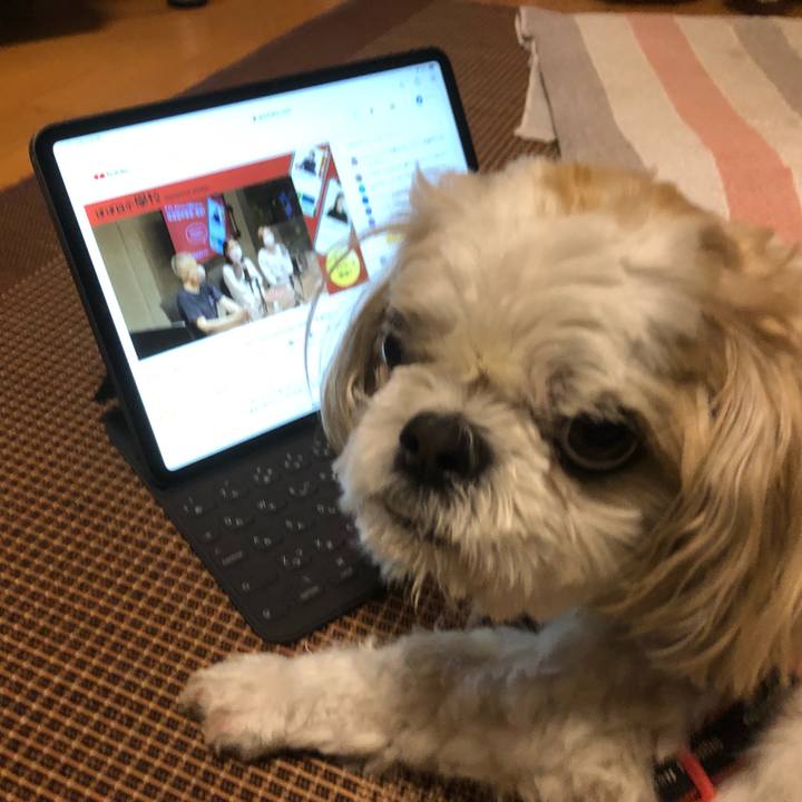 E5b5b856 5830 43e5 8f7b 76317a4d8b2c 1624916991671