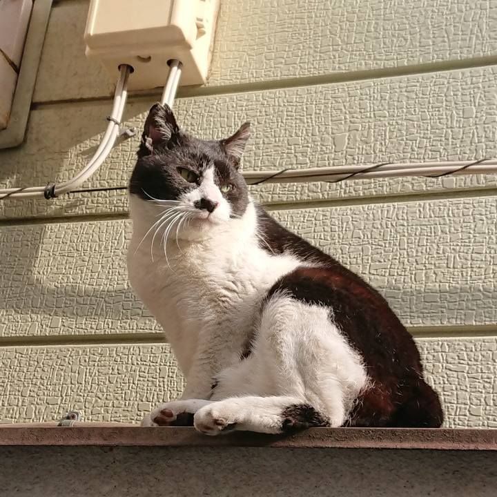 E5b5dc25 1f52 43e9 b81c cc652a174f3c 1584057181098