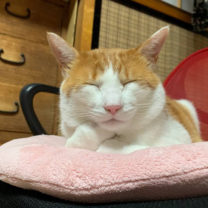 E5b5e070 42fb 496e bca5 376811caf158 1595417179768