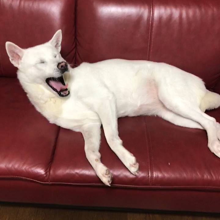 E5b5fc7e 5d71 4ce2 bab2 61b6162d91f7 1525152534062