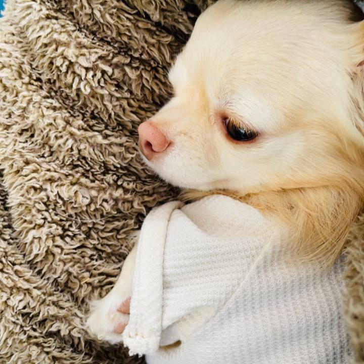 E5b61962 0b43 4949 9033 e0feb048ac79 1671277045495