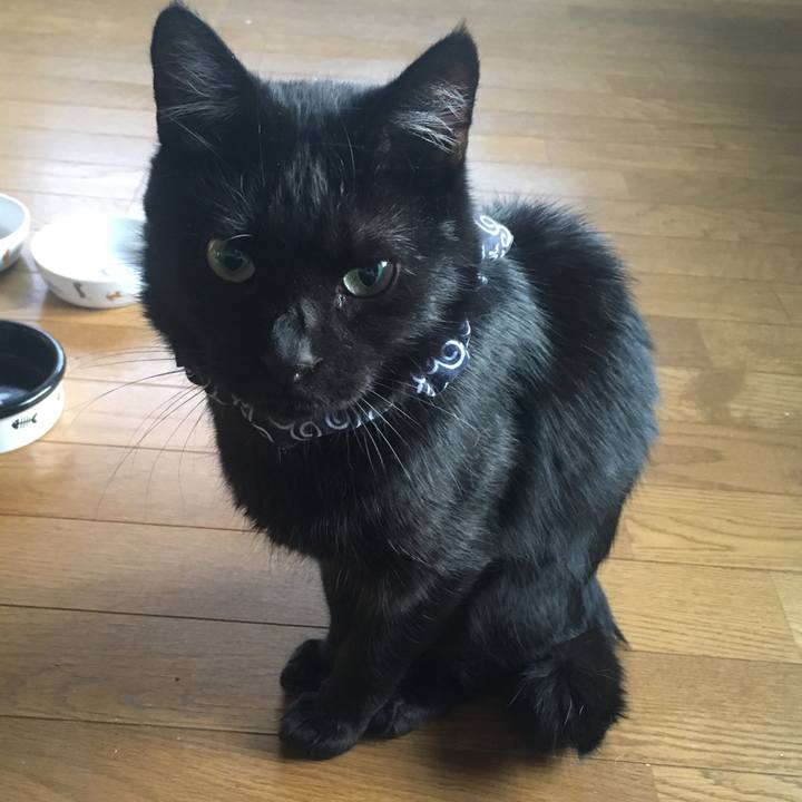 E5b63ad6 fbe9 4a7d 86e8 6e5626ab3d95 1536957854778