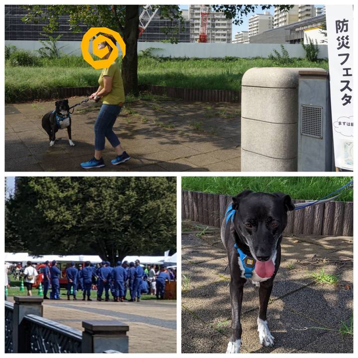 E5b644d3 5160 4ba2 b4ca dc5b51a5e743 1695554294999