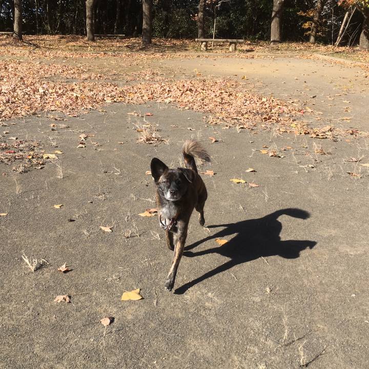 E5b65f76 f9ca 4e69 861b ba12197bdef6 1514355649969