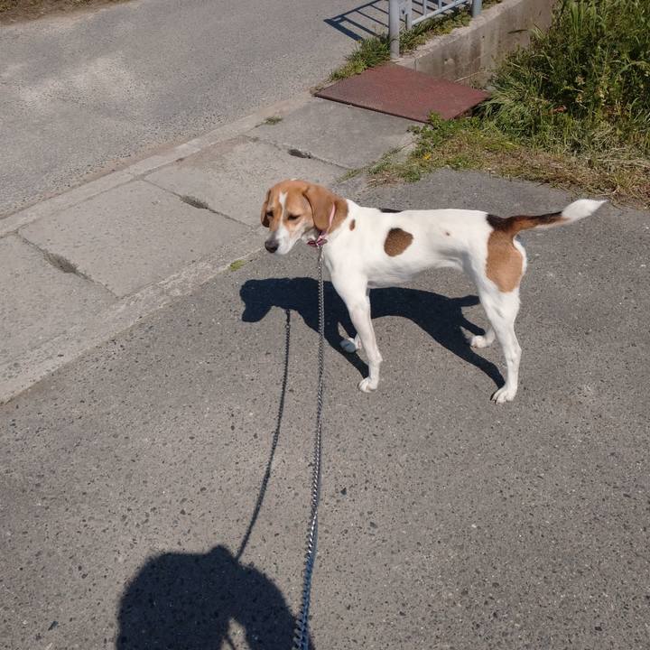 E5b6621a cfb3 4d83 b3e5 1acb99beb38a 1586586521635