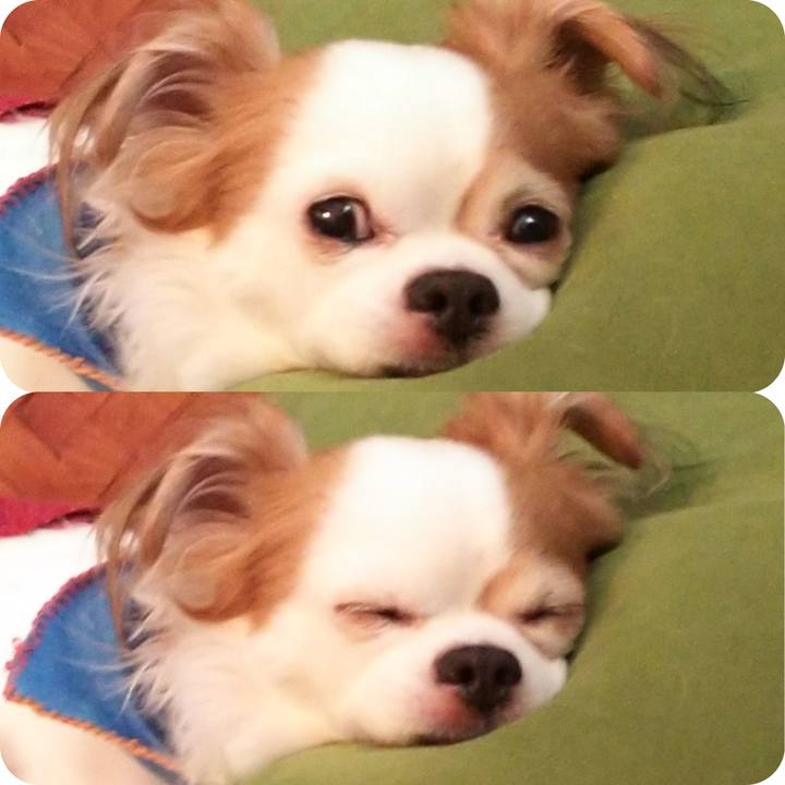 E5b66caa c749 4e07 9ca0 027d83e39fc4 1700827579951