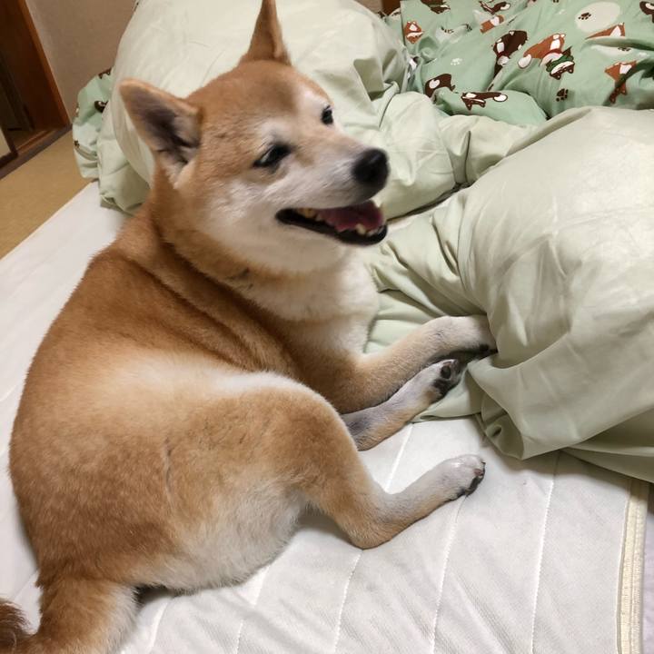 E5b6905f 80a1 440a 8e01 74635e036c51 1602594208908