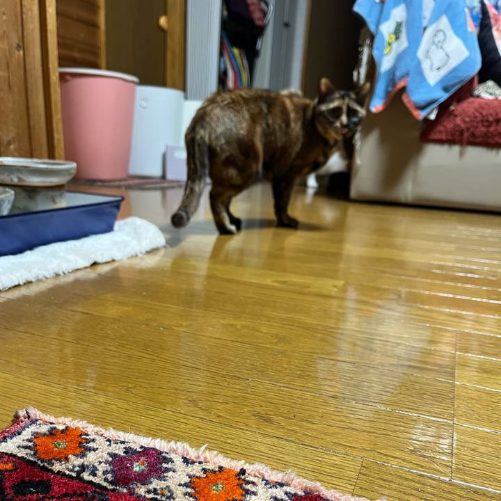 E5b69df6 964d 43ba 9971 c9e121bfc016 1741084198191