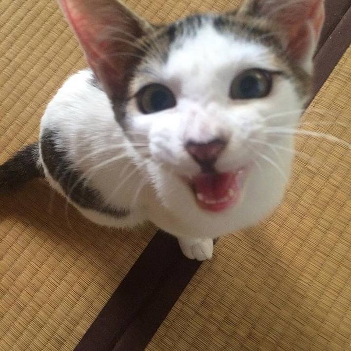 E5b6d0cc ea38 4ffb 895f e12dad9736b5 1529230179541