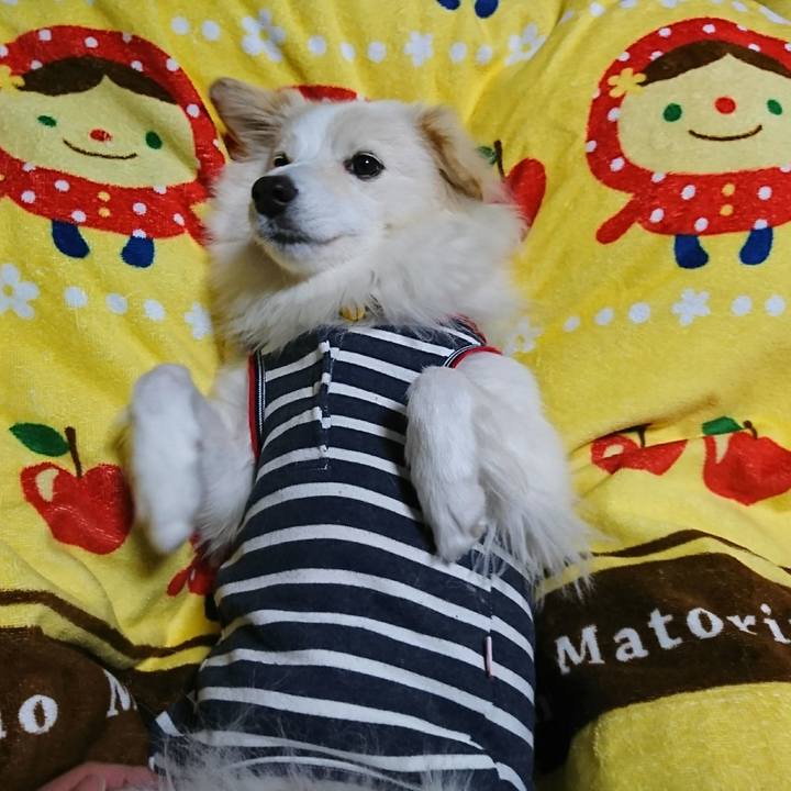 E5b6e2b5 393b 4b82 9692 e9945475dd5f 1514066175823