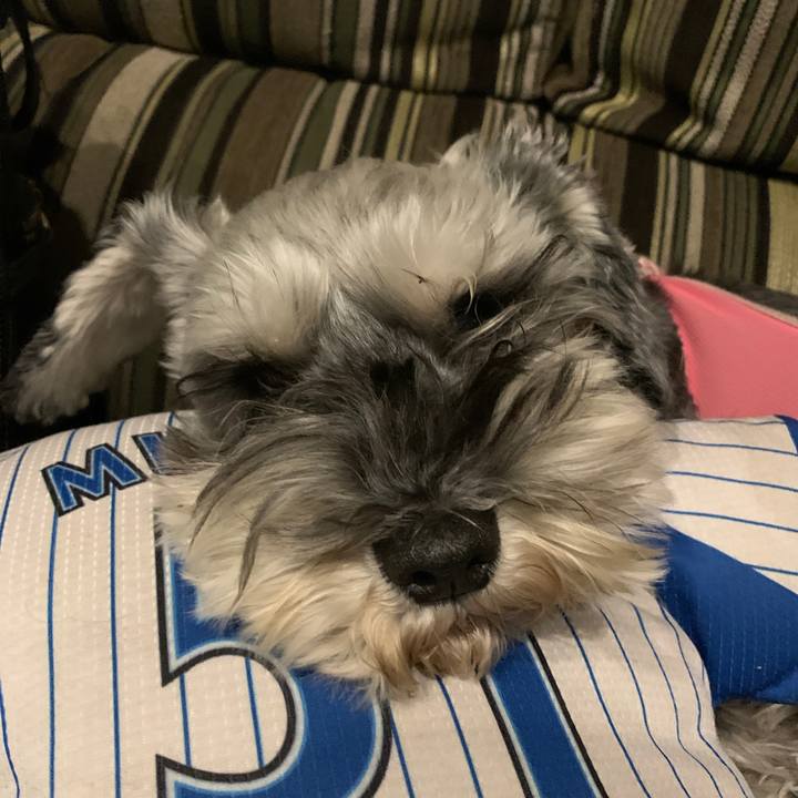 E5b70e1d 3b8a 49f3 8e5f 77e27578f3c8 1610093238524