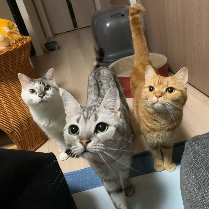 E5b77e9e b2aa 4c1c b7b4 f86e5c8071c3 1622873449542