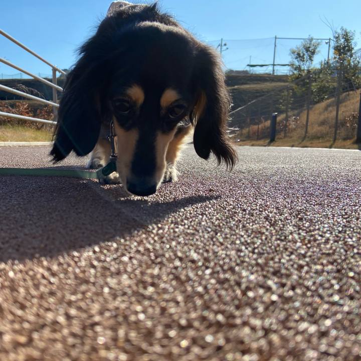 E5b782c1 3cd7 4e9a 854b aed3e9413d81 1734587230900