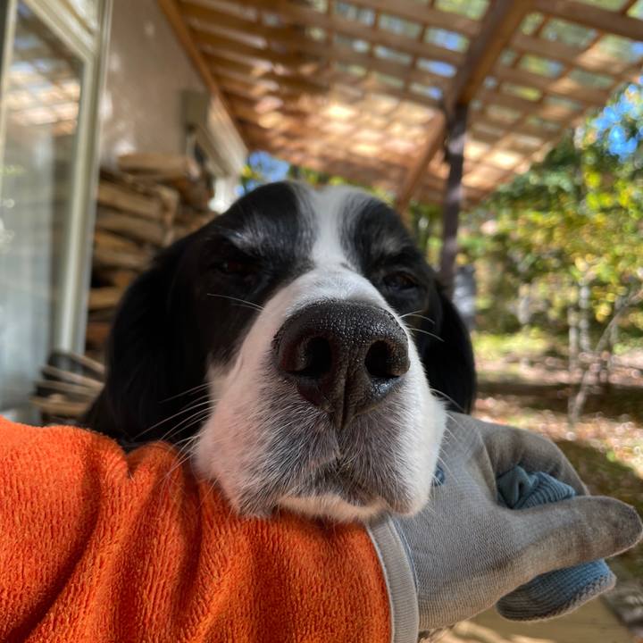 E5b791c1 802d 4d93 8687 8d7165f74844 1761199599399