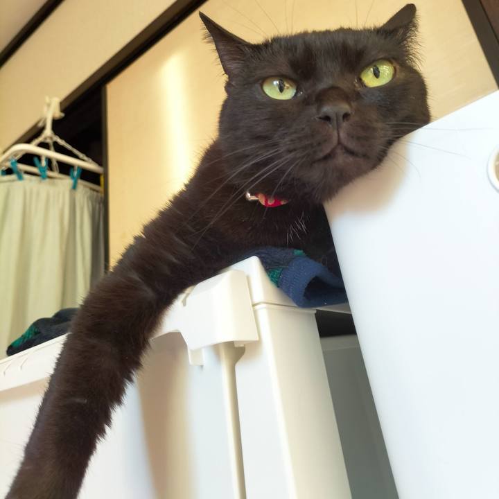 E5b7bb54 ad54 4dda a963 30b0e8fa16e6 1668377384963