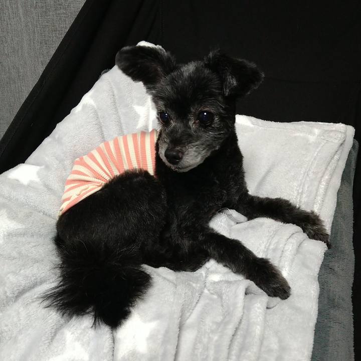 E5b7df53 3dc9 442f 8934 0f24484d5201 1698057401774