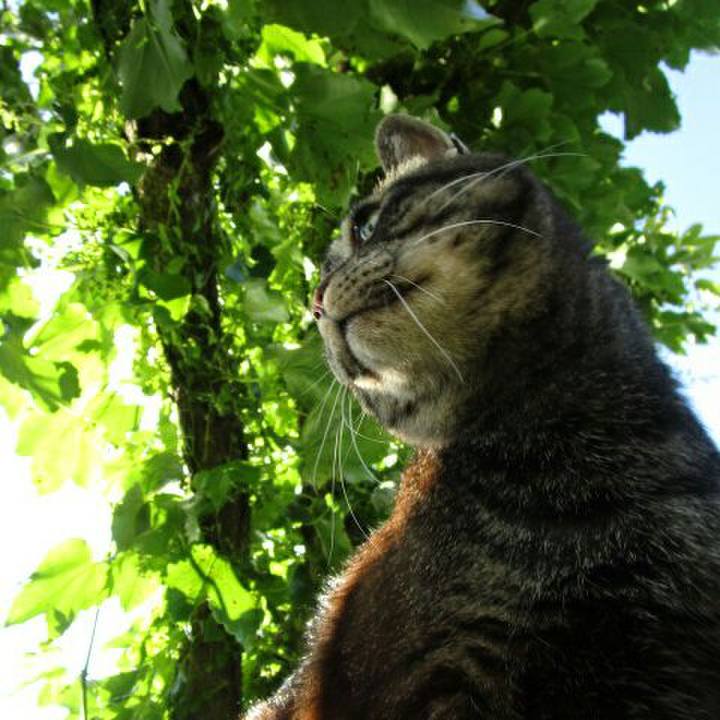 E5b7f6cc ca44 4389 a556 d01767f3785f 1560773467206