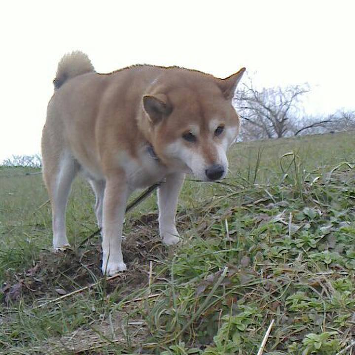 E5b80cbf 2d91 48aa a773 0a4a6673eaac 1547117767328