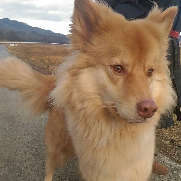 E5b813cb b7c1 4ff3 8625 20cda4c8202d 1517620884108