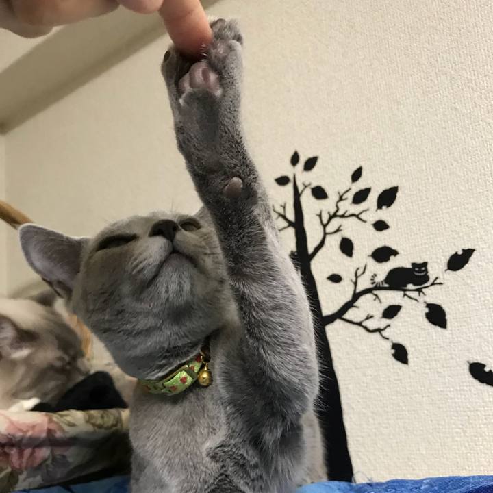 E5b86e48 5844 46c2 b981 4b0a5b972779 1514021097183