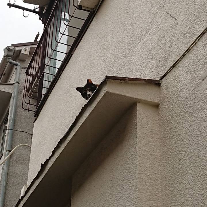 E5b8b768 d468 41bf 81ac a64744f89575 1630740046105