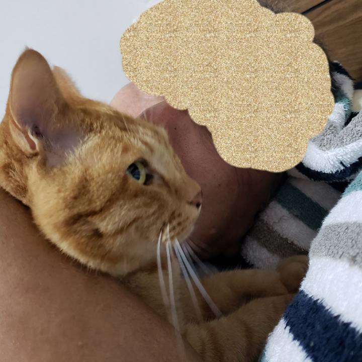 E5b91151 d702 4beb 8ec6 bfb40131a42c 1718588511852