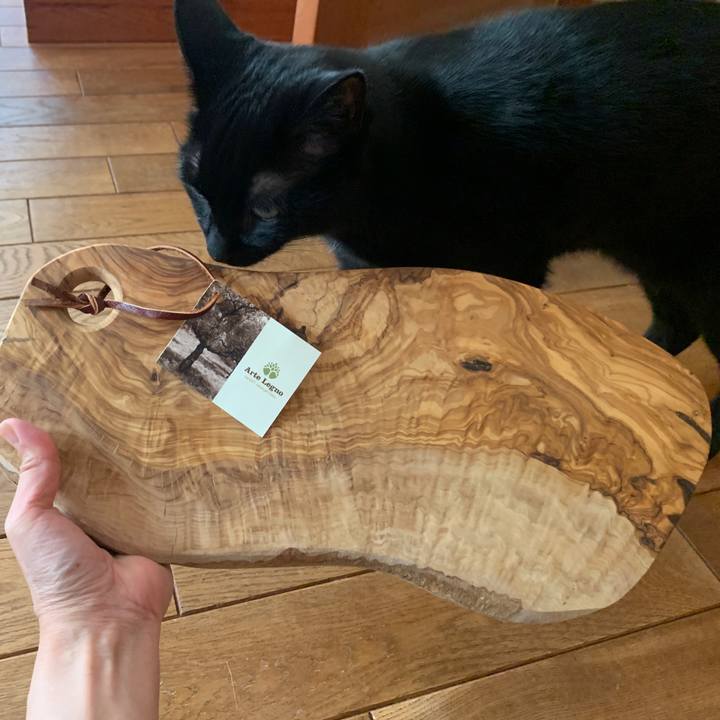 E5b94982 57fd 4fec 9f28 7d5b4bce8200 1649563668112