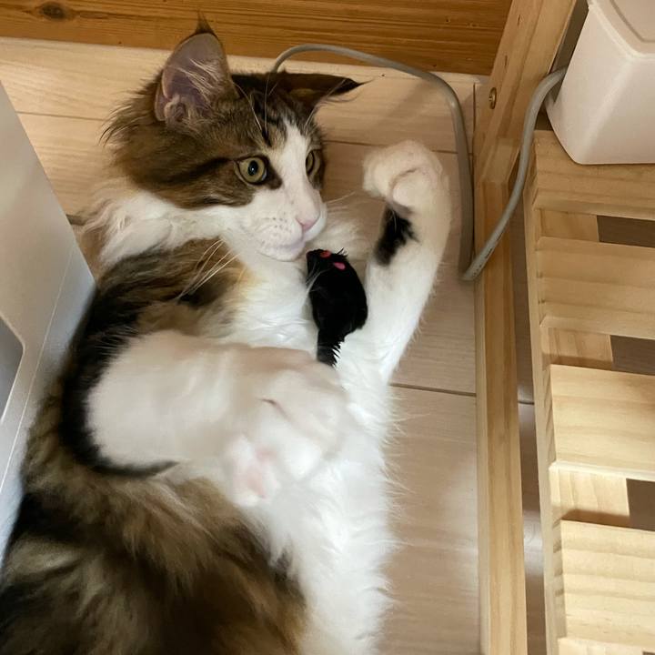 E5b9685b d5f0 4b7f a51e 898d05abfa8e 1636833753224