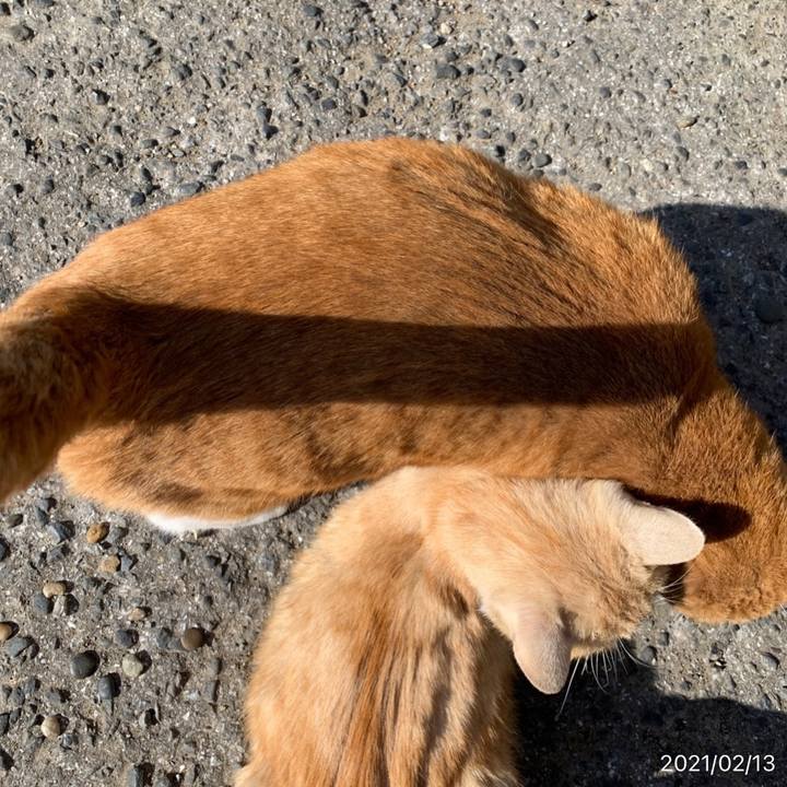 E5b9759c 8f80 4304 9ed1 2ab419d215c3 1613193281823