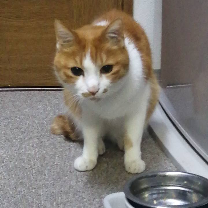 E5b983f1 0fbb 4387 b39c e06aecf80dd1 1652491833699