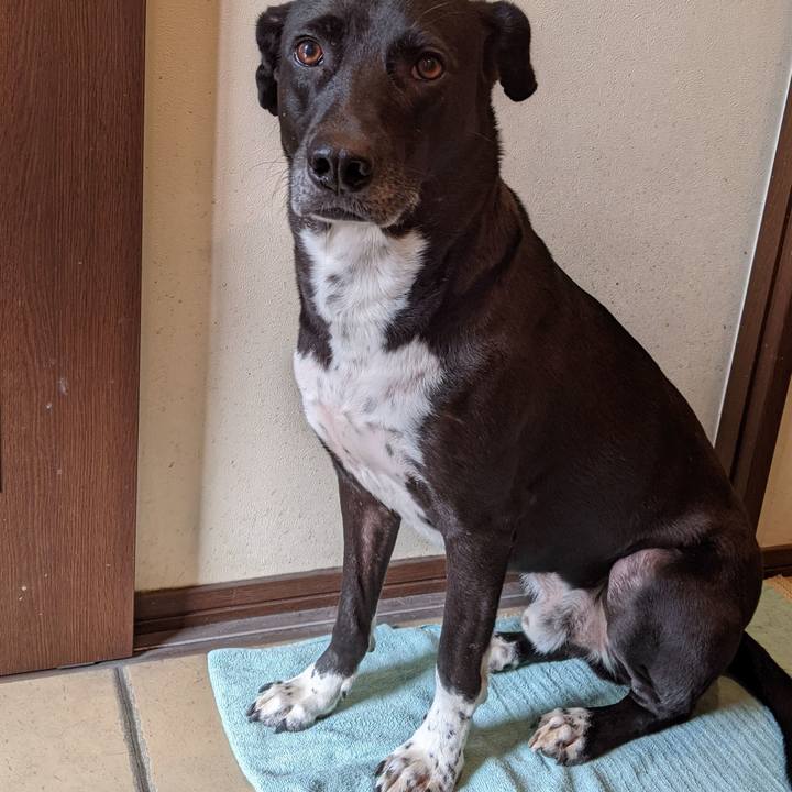 E5b994aa 05db 4d8e 996c f3ff6b565d3c 1636368212835