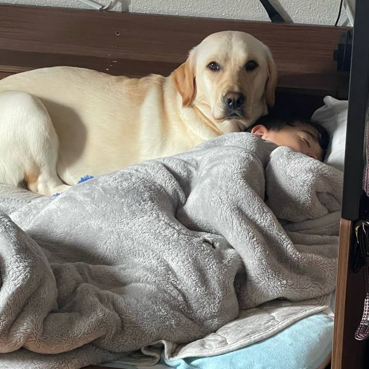 E5b9c768 5a47 463d 9eba 096f7c36289e 1652658222136