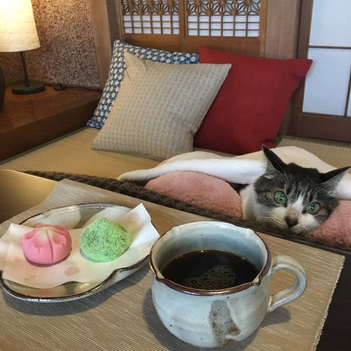 E5b9efc6 13d3 4a81 92e8 0d2d08507caf 1521352809894