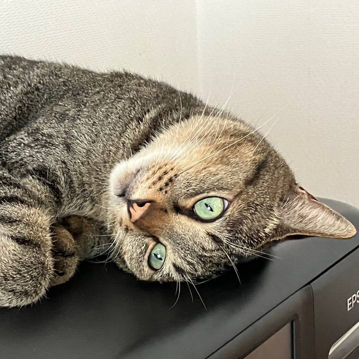 E5b9f282 f29f 4742 93c0 e8bd5d3ce46d 1758494701720