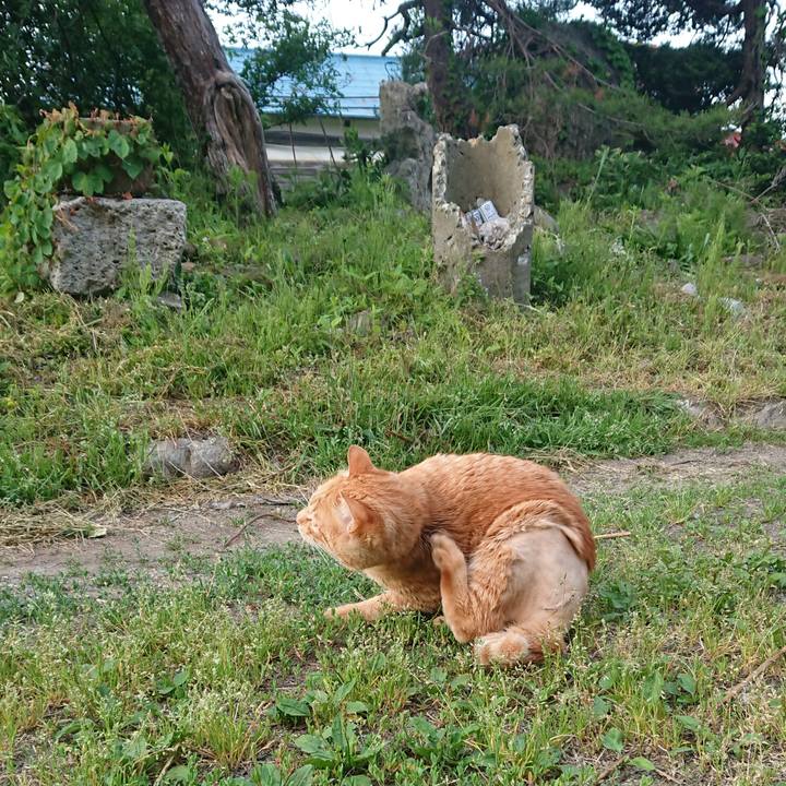 E5ba040c 18c1 4834 8cf1 70ff5824b031 1654117657416