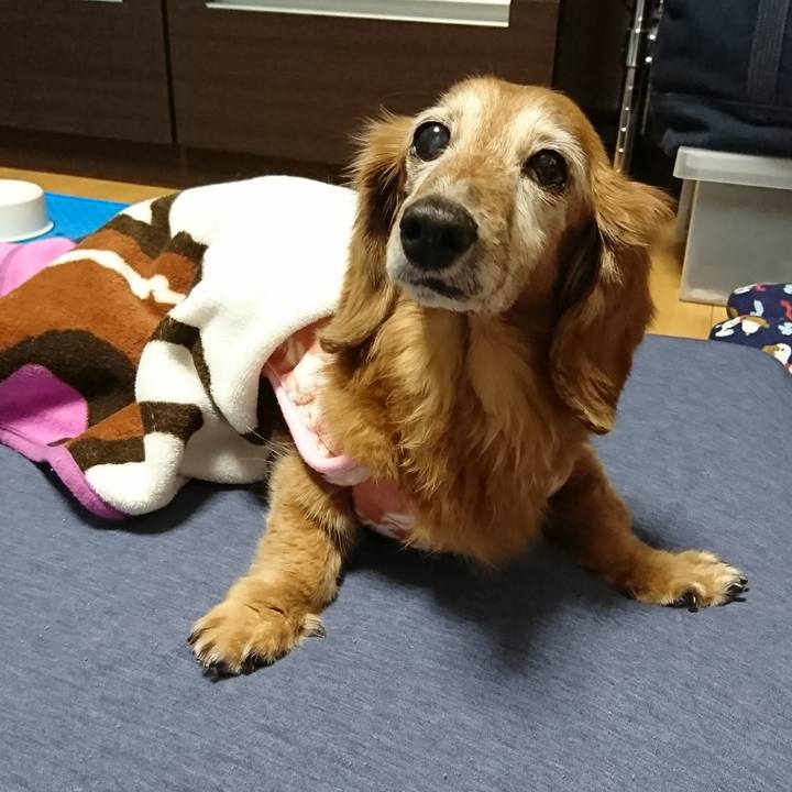 E5ba1430 af59 4e08 b3ff 421a2627bdd0 1513153090560