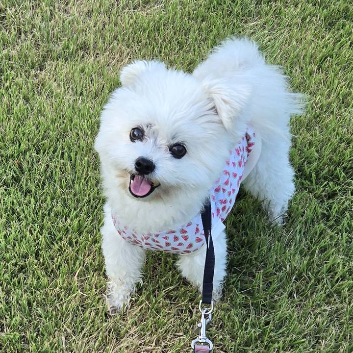 E5ba1567 4cac 41dd 9bc4 ee426bbd31a9 1758681380243