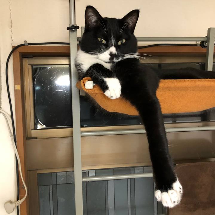 E5ba1758 7061 43a7 a43a cd0b77e7a432 1574826096113