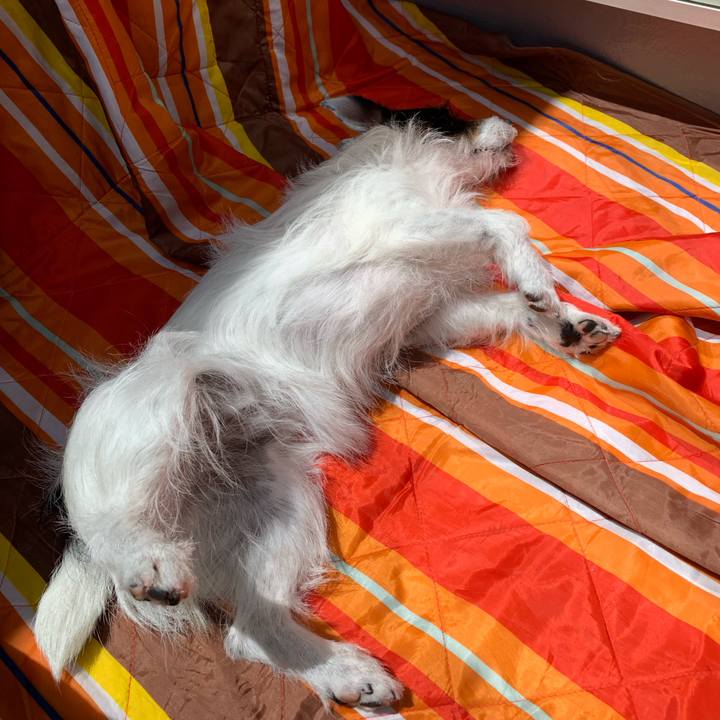 E5ba1f12 6129 4c4a 8048 96eef612fcdc 1592887244651