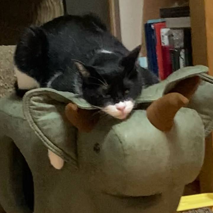 E5ba36f0 9793 40c8 85ad 4866f3df4783 1658667231358