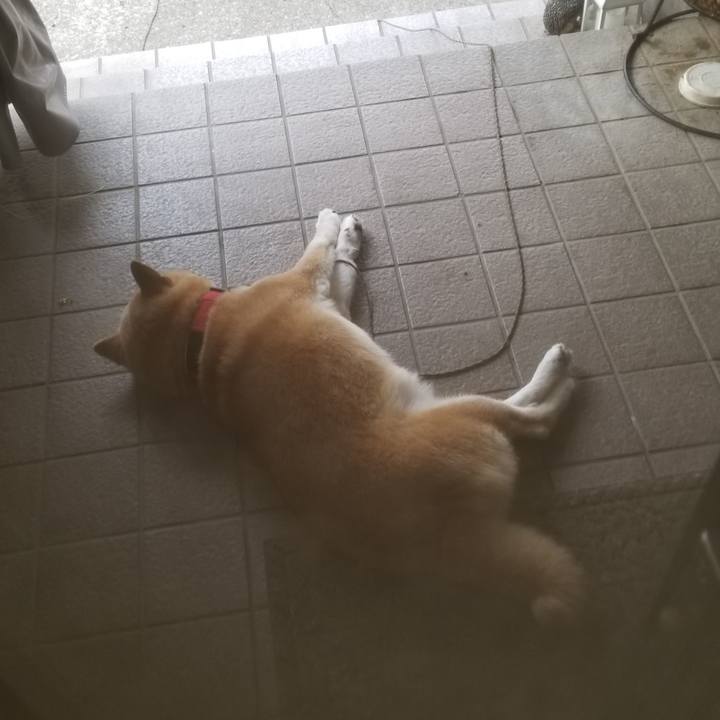 E5ba5235 f319 41e6 82cf 2ff8ae56e72b 1722989495163