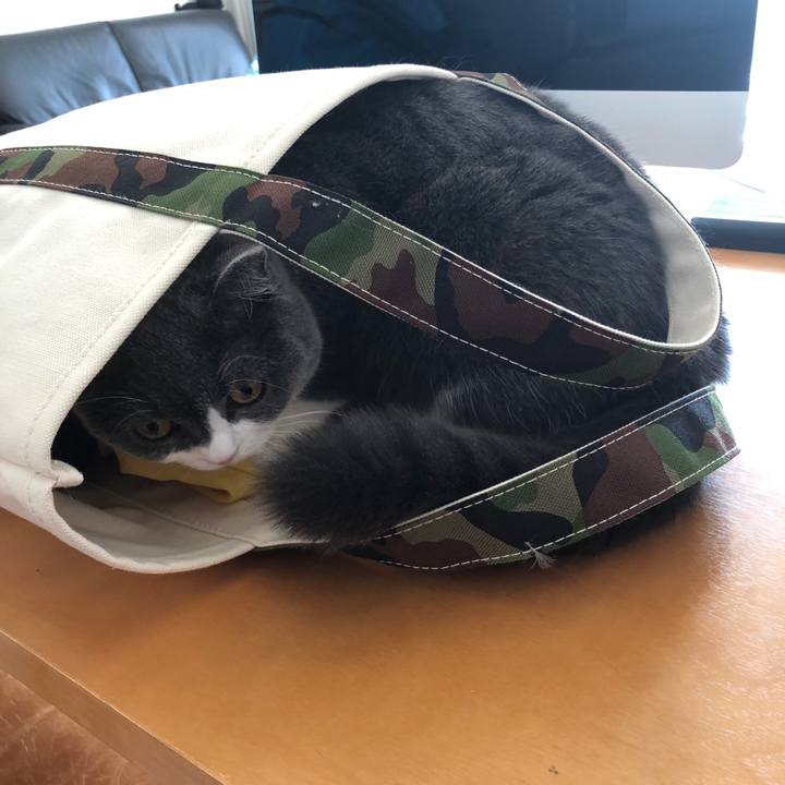 E5ba6ecb e268 494e 8fbf f900653e9366 1524961944477