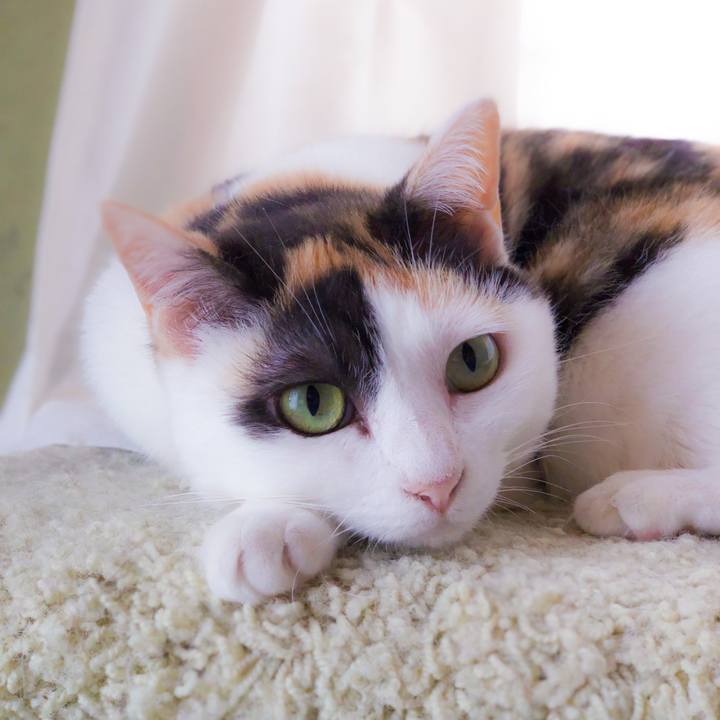 E5ba8a4c 80c4 4f76 a89a 91eb6357476b 1564103411742