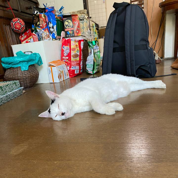 E5baa22c 64c7 4820 b422 82d79d18dfd4 1597653499481