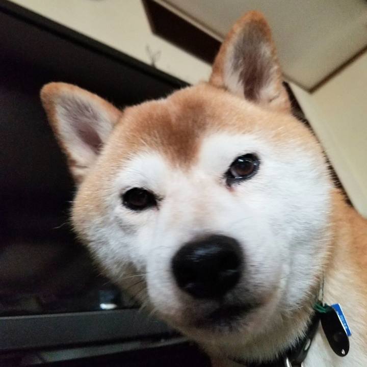 E5bafc61 0506 4066 9d91 a16525b48158 1629093014145